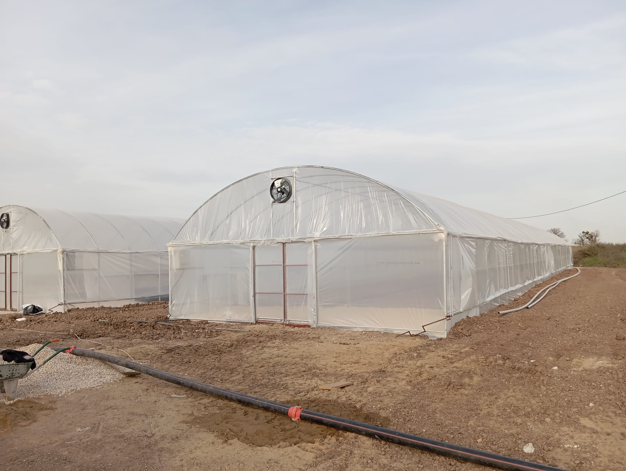 Exterior view of the greenhouse