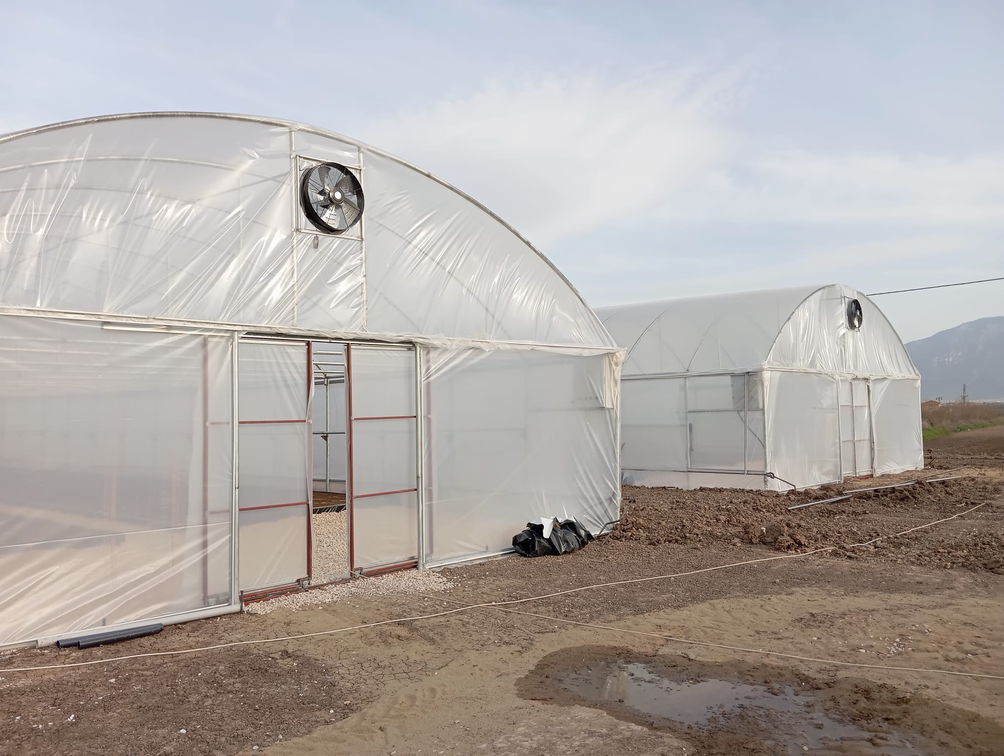 Modern double-door greenhouse